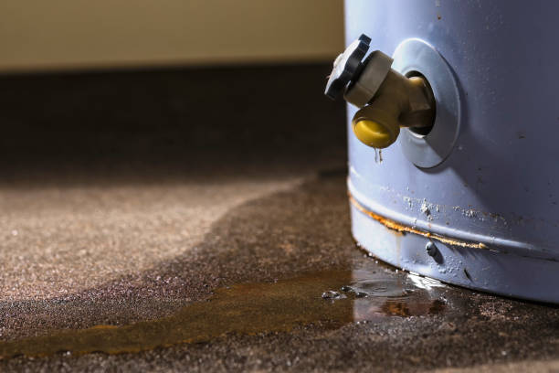 Best Professional water damage repair  in Freedom, PA