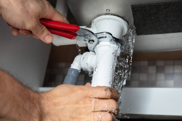 Best Water damage cleanup near me  in Freedom, PA