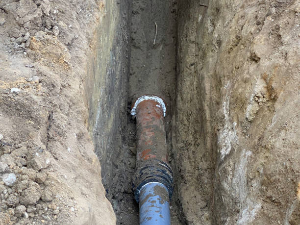 Best Basement water damage restoration  in Freedom, PA