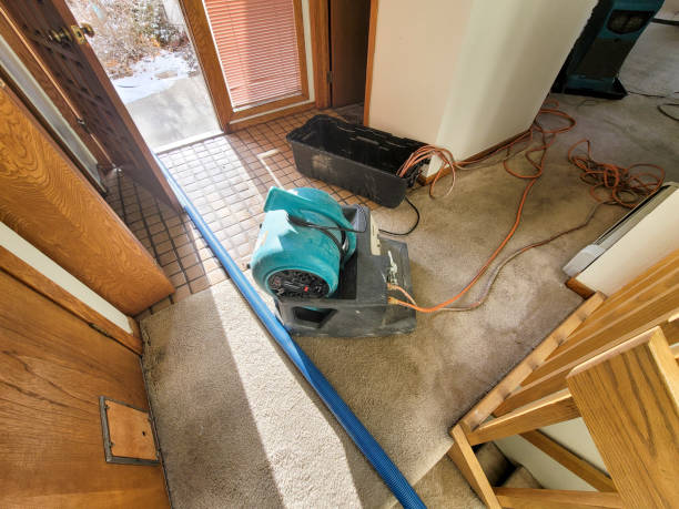 Best Local water damage restoration  in Freedom, PA