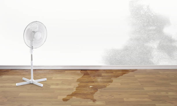 Water damage restoration insurance claims in Freedom, PA