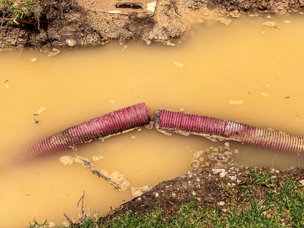 Best Flood damage cleanup  in Freedom, PA
