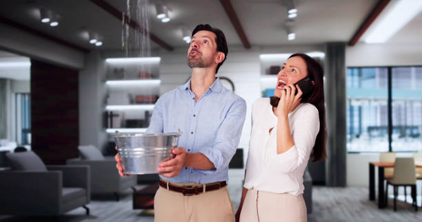 Best Water damage restoration specialists  in Freedom, PA