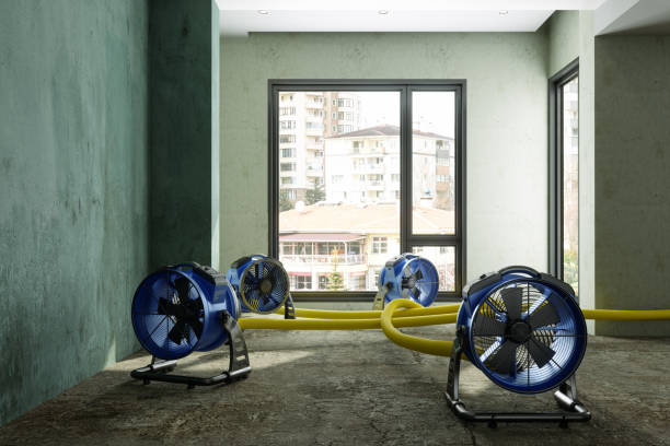  Freedom, PA Water damage restoration Pros